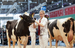 德國(guó)漢諾威畜牧業(yè)展覽會(huì)EUROTIER HANNOVER